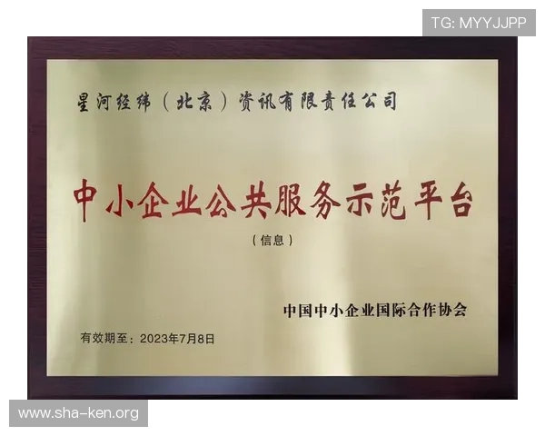 万博体育官方登录：官方渠道登录的优势与风险防范措施