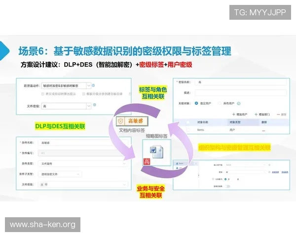 manbetx万博全站用户安全保障体系建设，风险控制与数据防护的专业策略分析