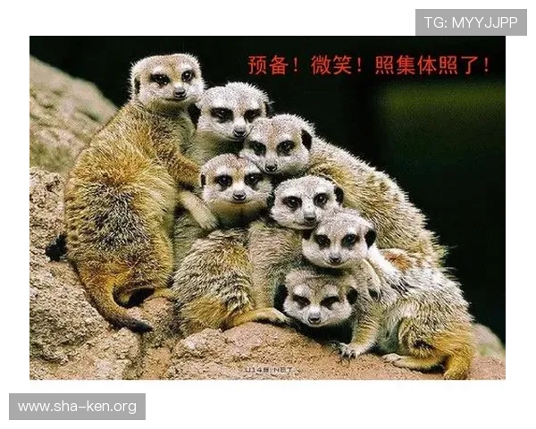 万博网页版登录步骤详细介绍帮你快速进入游戏无忧